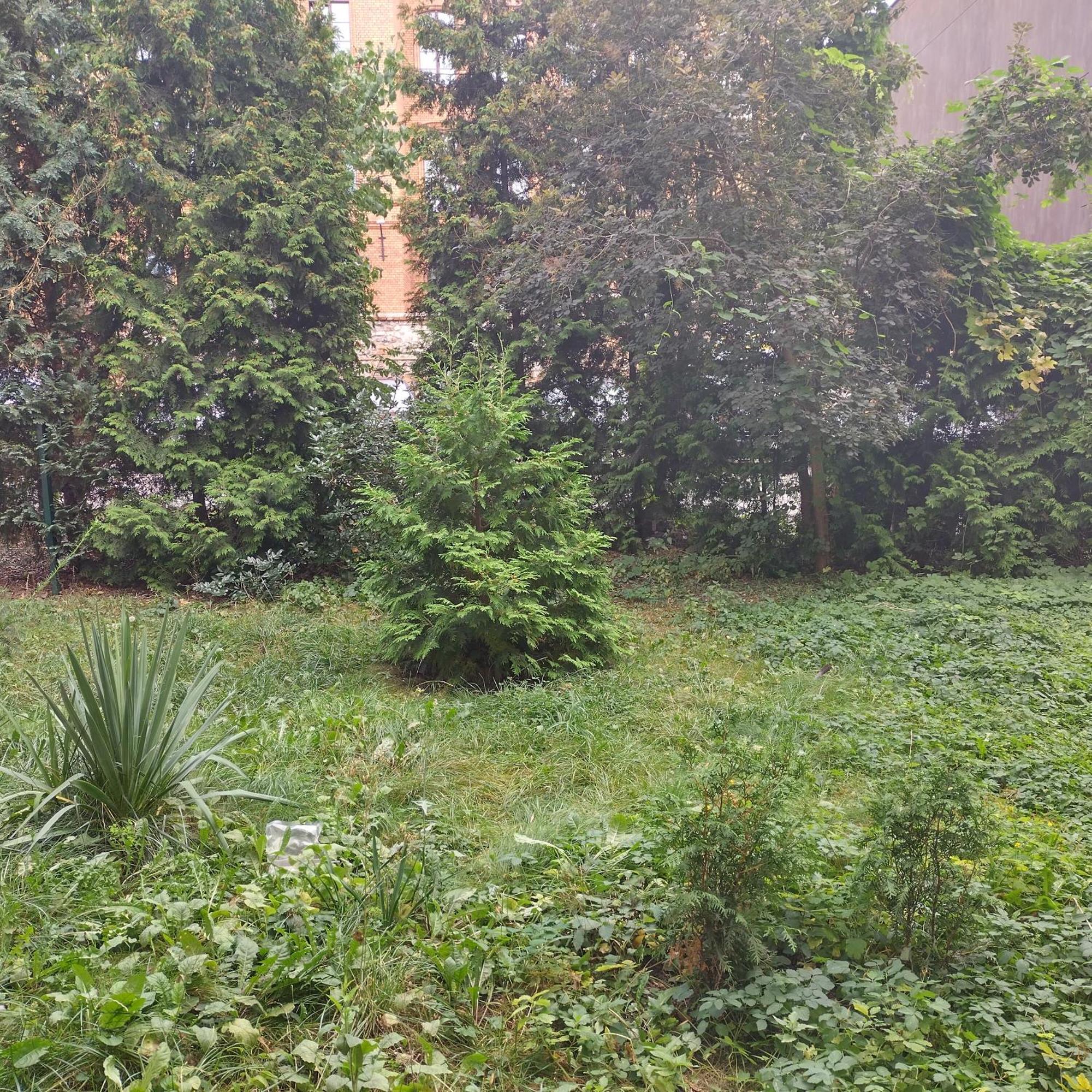 Apartament Przedzamcze Stary Toruń Εξωτερικό φωτογραφία